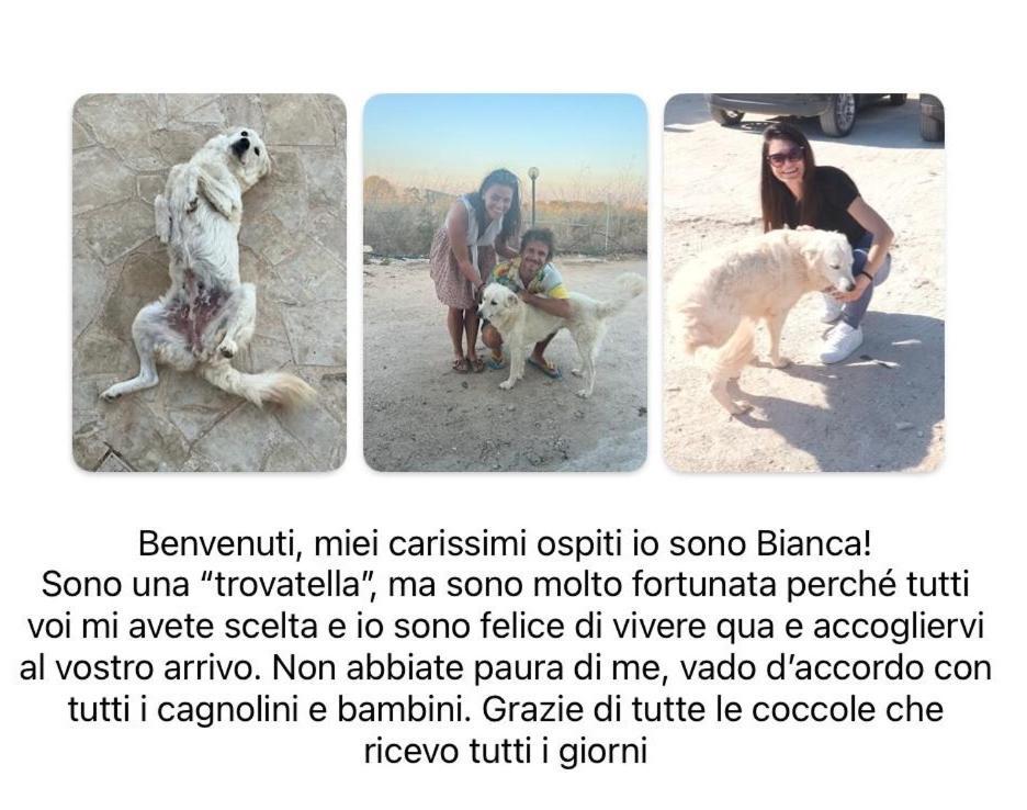 Cozzo Spadaro B&B Portopalo Di Capo Passero Bagian luar foto